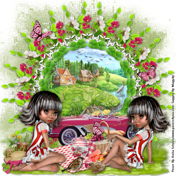 psp lessen mistys-creations.nl